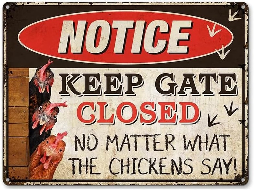 Warning Chicken Signs,Funny Chicken Coop Signs-Keep Gate Closed No Matter What the Chickens Say,Notice Metal 12 ”X 8”,For Indoor/Outdoor (1 PCS Chicken)