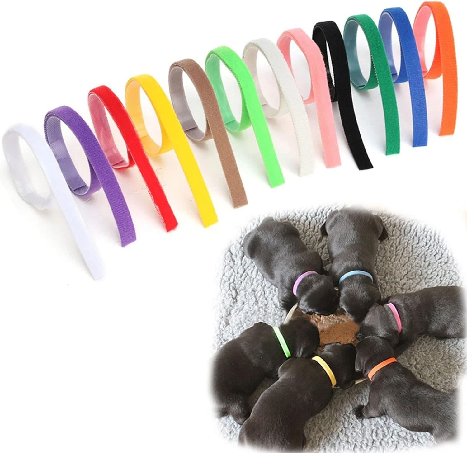 12 Pieces Puppy Whelping Collars Multicolor Newborn Puppy ID Collars Reusable Pet Identification Bands Double-Sided Adjustable ID Bands for Newborn Pet Dog Cat Kitten, 12 Colors