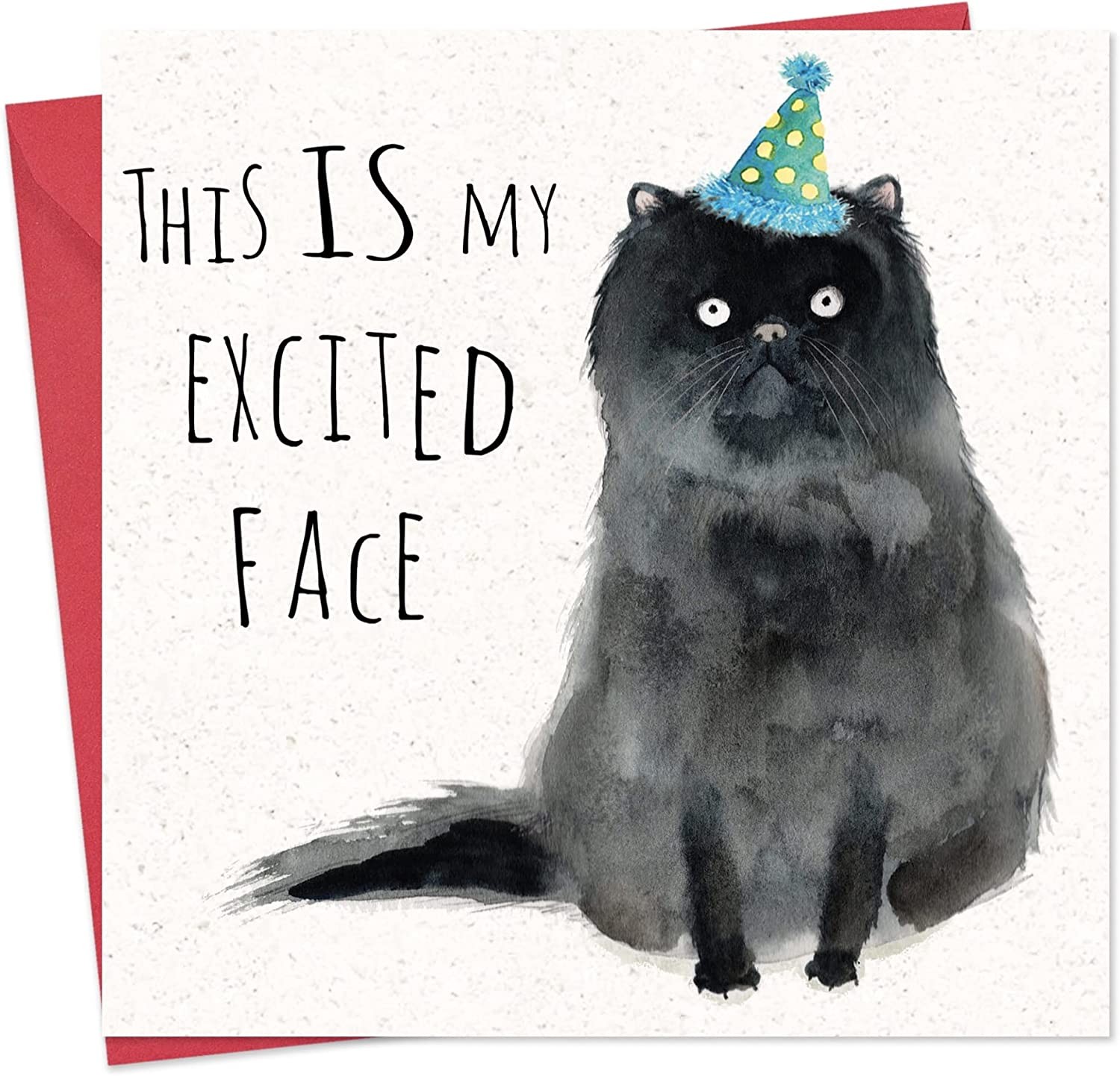 Twizler Funny Birthday Card Cat – Funny Birthday Card Women – Funny Birthday Card Men – Funny Birthday Card for Her – Funny Birthday Card for Him – Funny Card Birthday – Happy Birthday Card – Cat Card