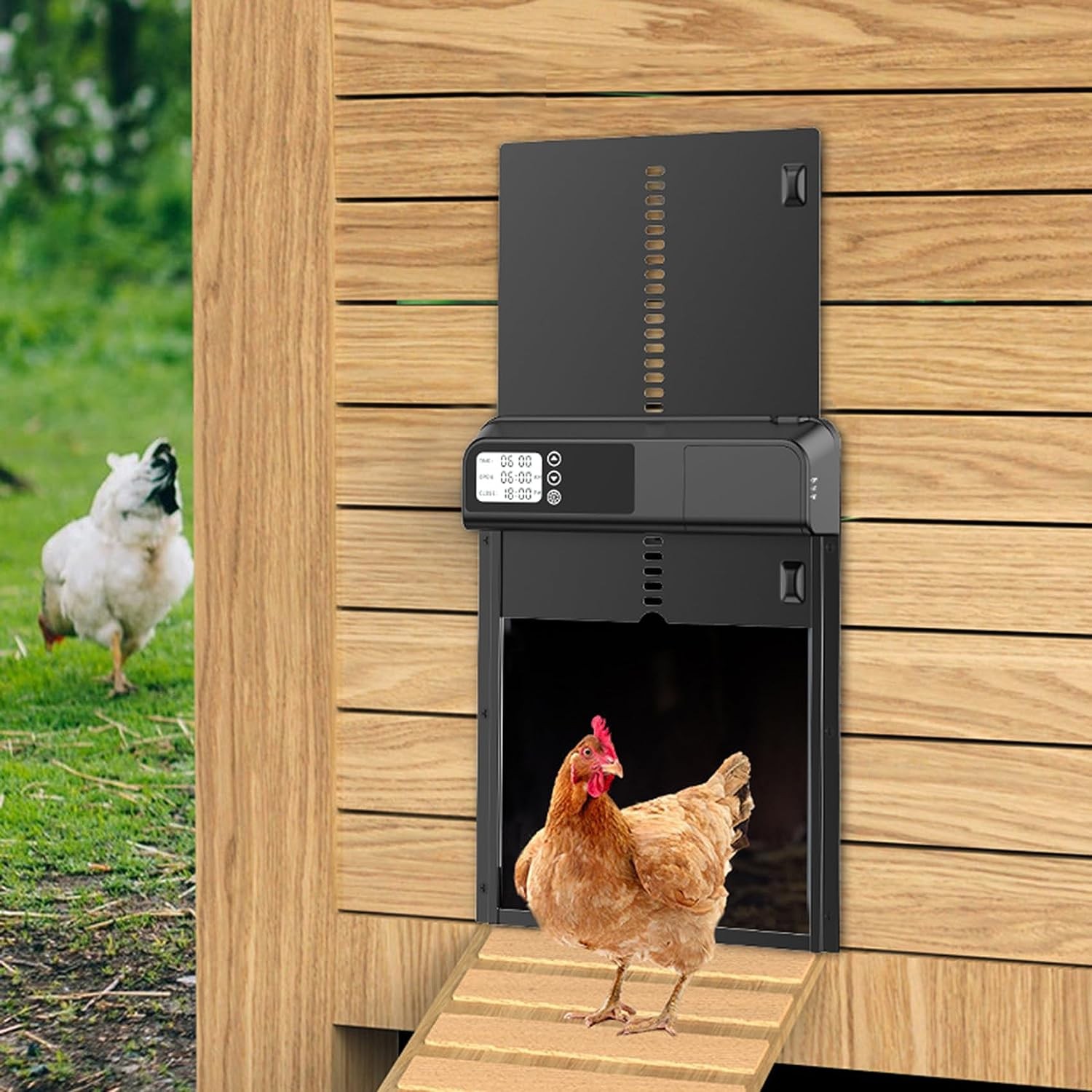 AUTENS Chicken Coop Door Automatic Aluminum Auto Coop Door with Light Sensor and Timer Control LCD Display Door Opener Black