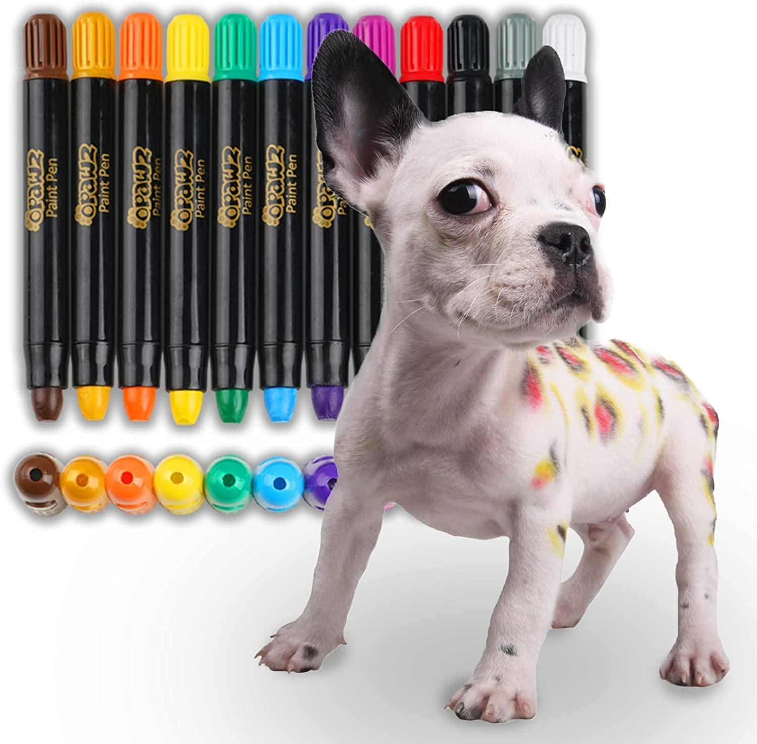 Non toxic deals pet safe paint