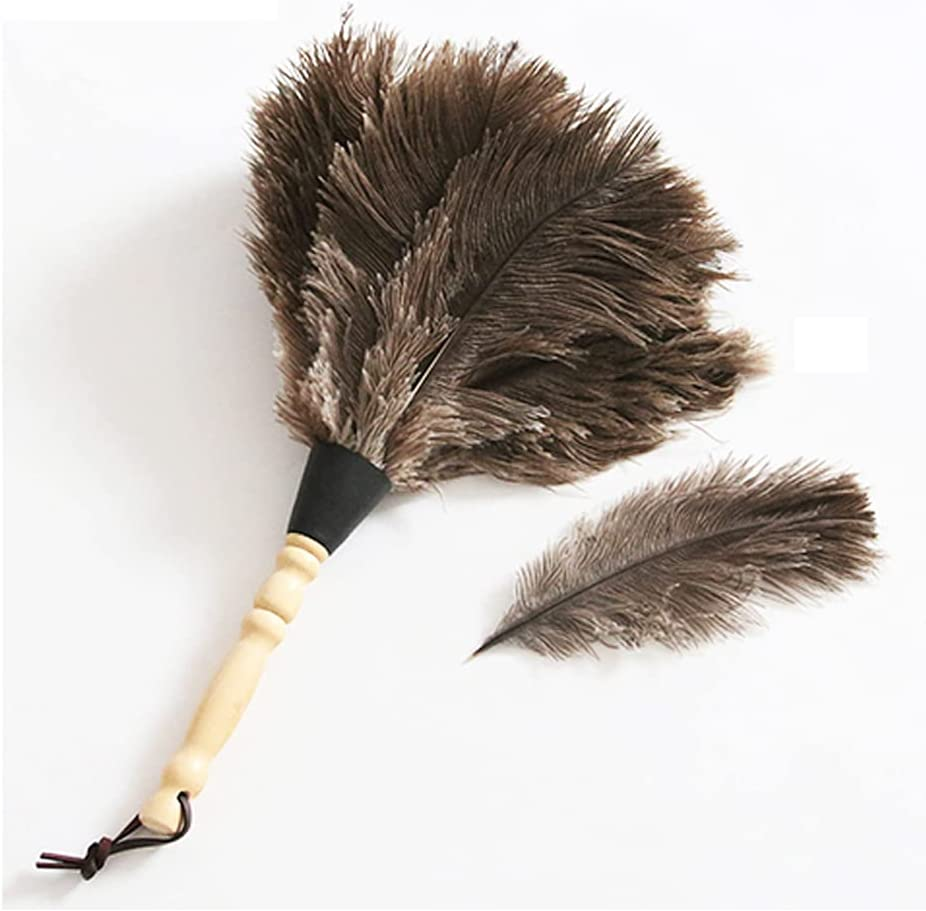 Ostrich Feather Duster, Household Dust Removal Tool with Wooden Handle, Quality Genuine Ostrich Feather Duster.