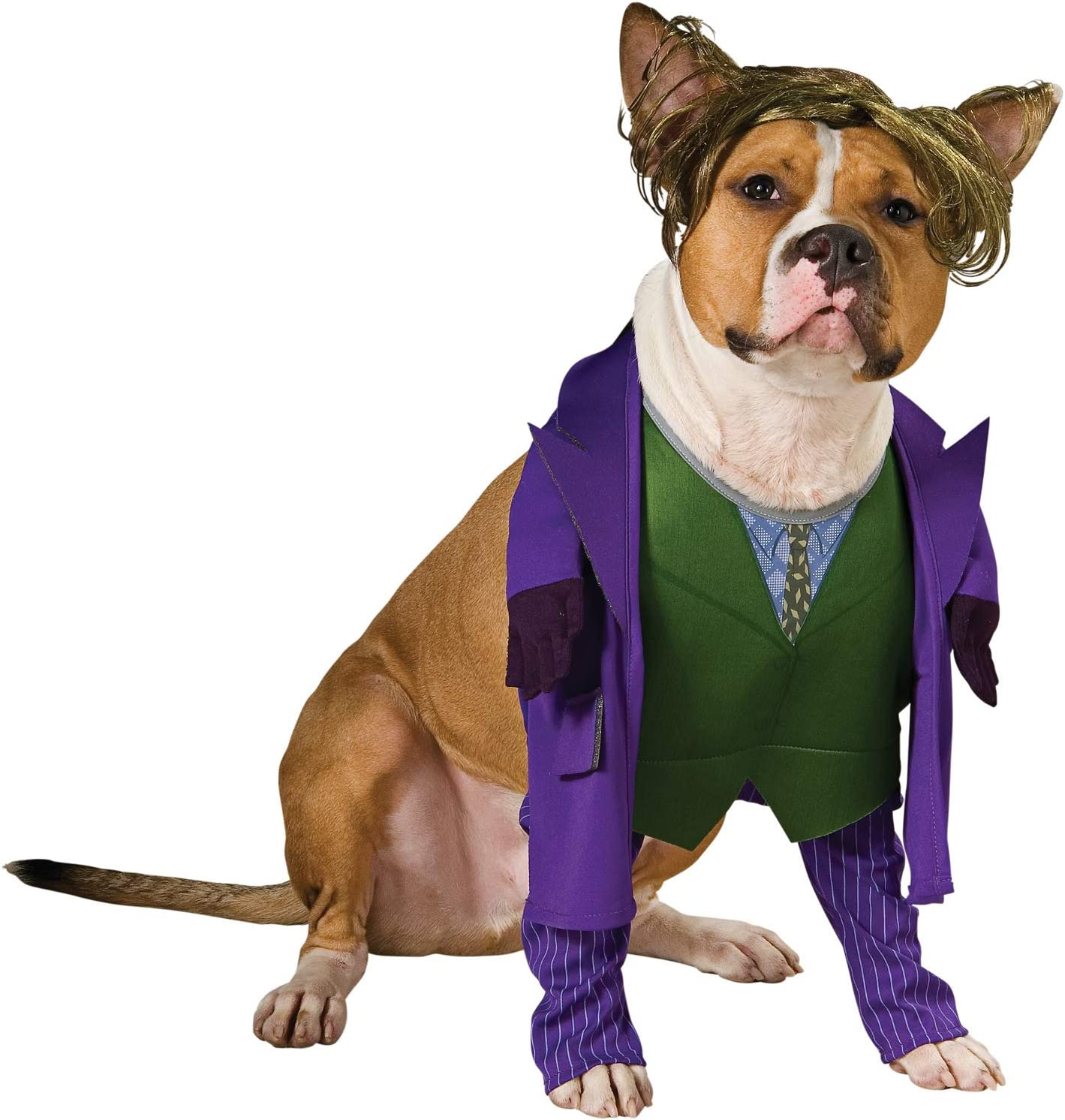 Batman the Dark Knight Joker Pet Costume, Medium