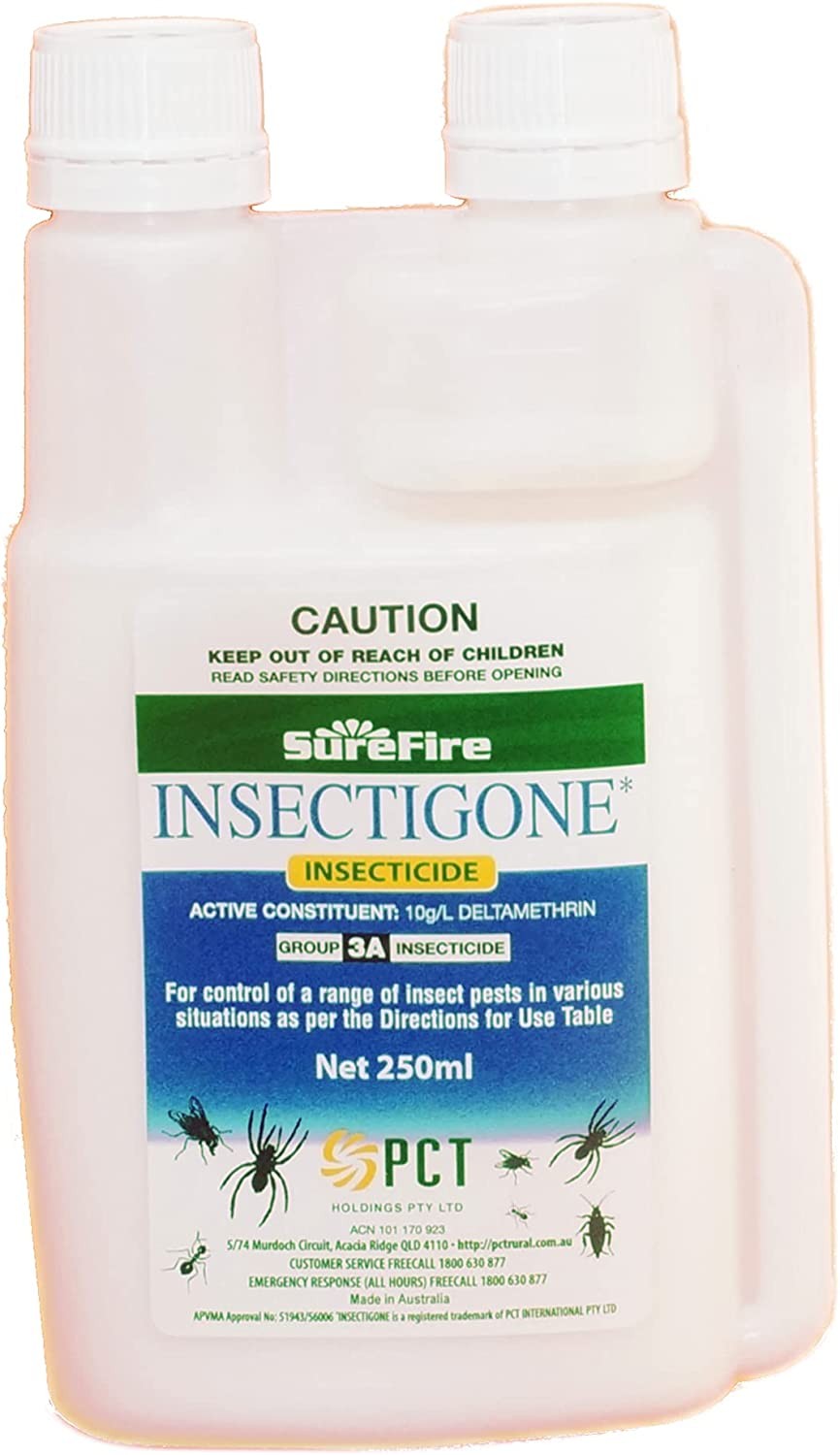 Surefire Insectigone Insecticide Insect Spray 250 Ml Clear