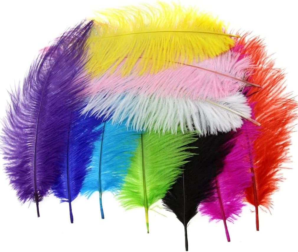 10Pcs Fluffy Ostrich Feathers Long Mixed Colors (10″-12″ Length)