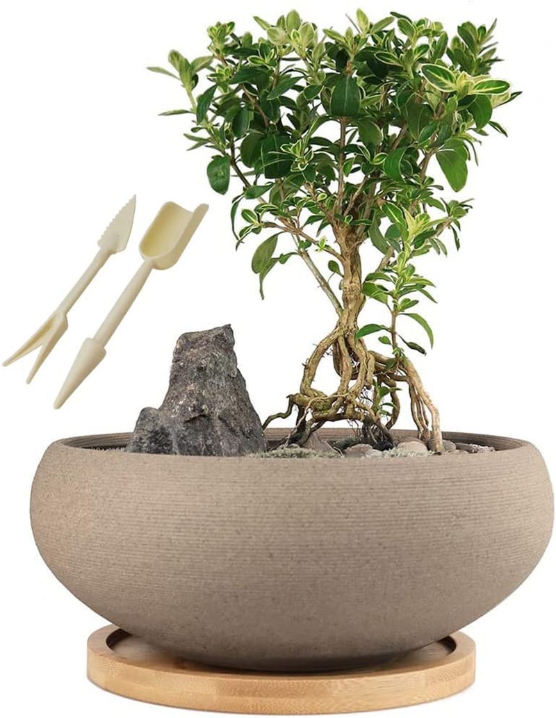 MUZHI round Unglazed Ceramic Bonsai Pot with Bamboo Tray, Large Rough Pottery Succulent Planter with Drainage Hole 8 Inch