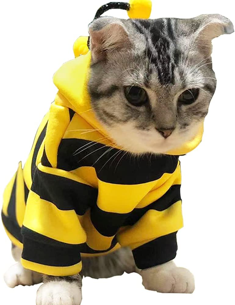 Anelekor Pet Bee Halloween Costume Dog Hoodies Cat Holiday Cosplay Warm Clothes Puppy Cute Hooded Coat Christmas Outfits for Cat and Small Dogs (C, Medium)