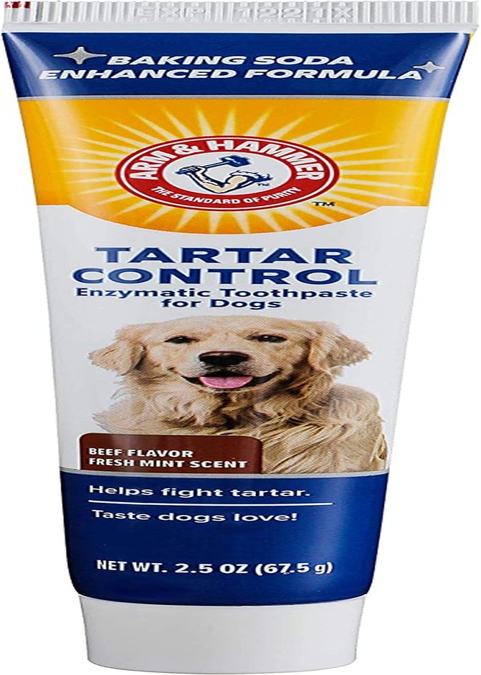 Arm & Hammer Beef Flavor Tartar Control Enzymatic Toothpaste for Dogs 67.5 G