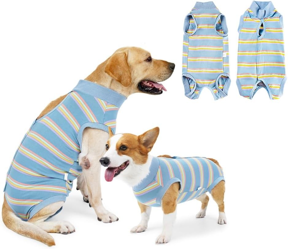 NACOCO Dog Surgery Recovery Suit- Wound Protective Clothes for Female Male Dogs Pet Onesie after Surgery Spay Neuter E-Collar Alternative for Cats Small Medium Dogs (Sky Blue, Small)