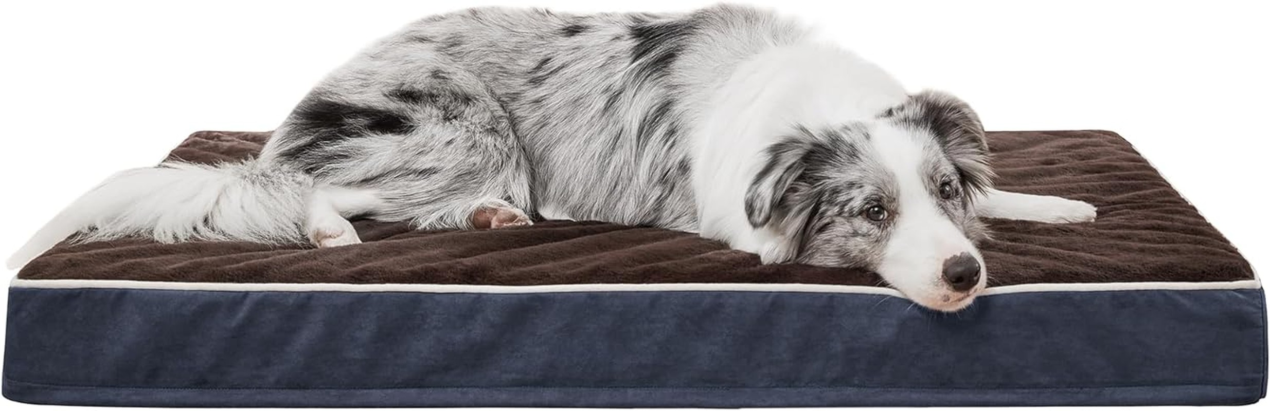 Eterish Plush Dog Bed with Removable Cover,Waterproof Dog Bed with Washable and Non-Slip Bottom for Large Dog (Brown)