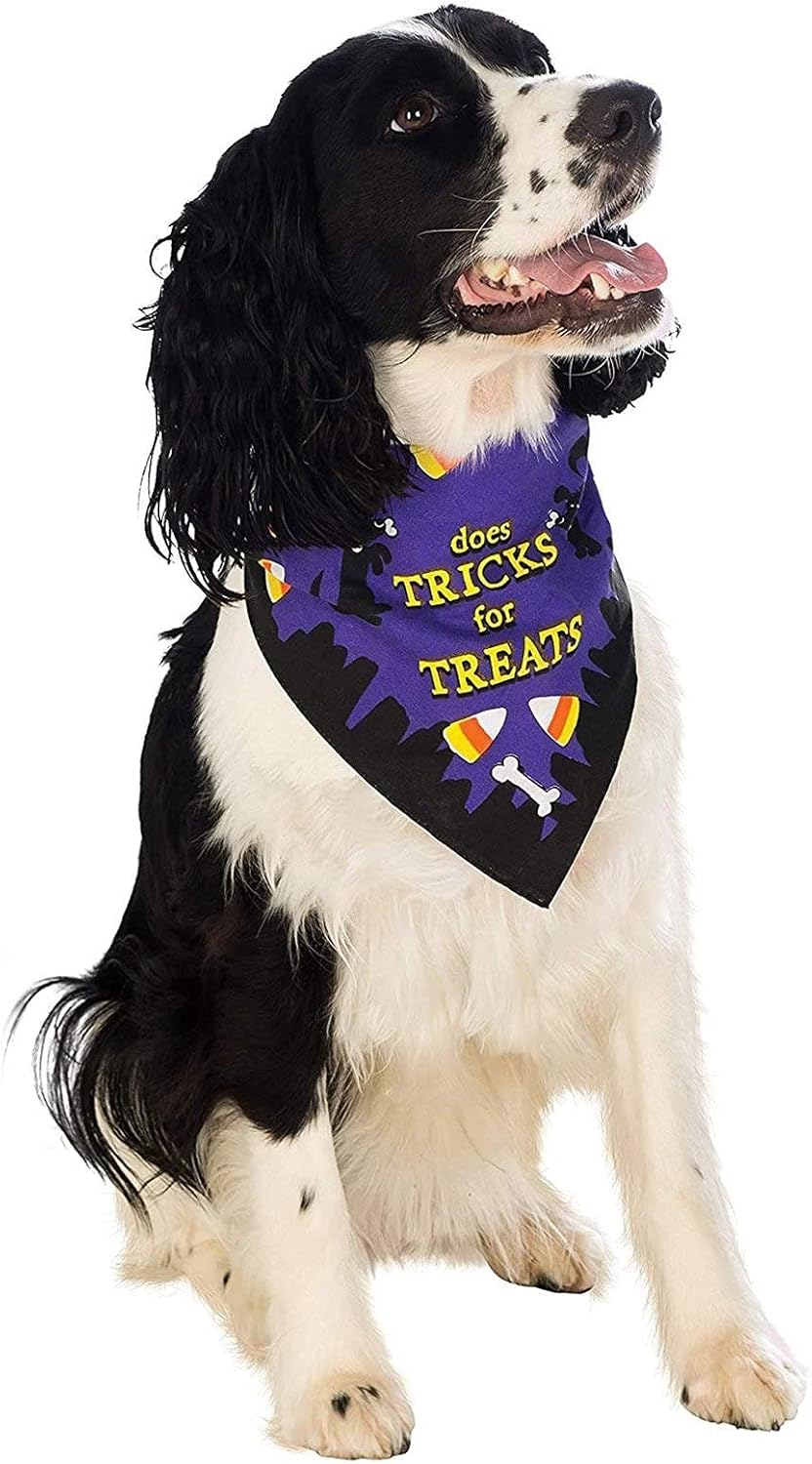 Rubie’S Costume Co Trick for Treats Pet Bandana