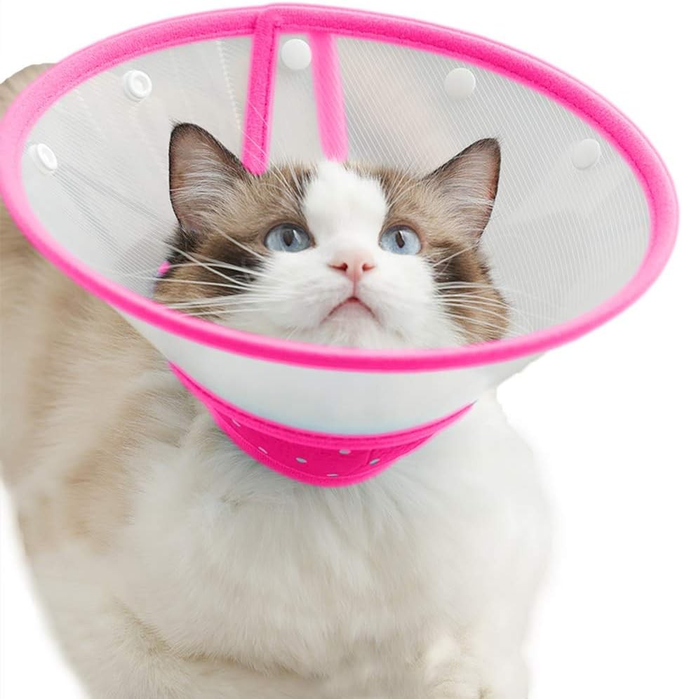 Cat Cone Dog Cone Collar Soft Dotted Recovery Collar after Surgery for Cats Kitten Puppy Small Dogs Pets Animals (M, Rose Red)