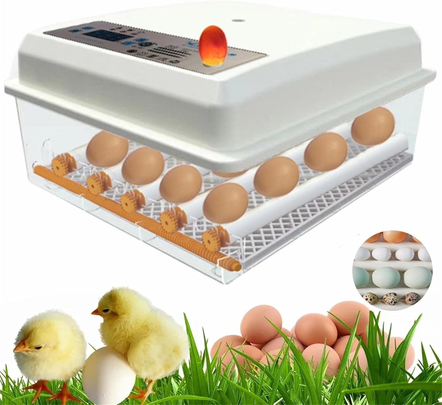 16 Egg Incubator Digital LED Brooder Fully Automatic Turning Backyard Farm Chicken Temperature Controller for Duck Poultry Goose Bird Quail Hatch Eggs Built-In Fan