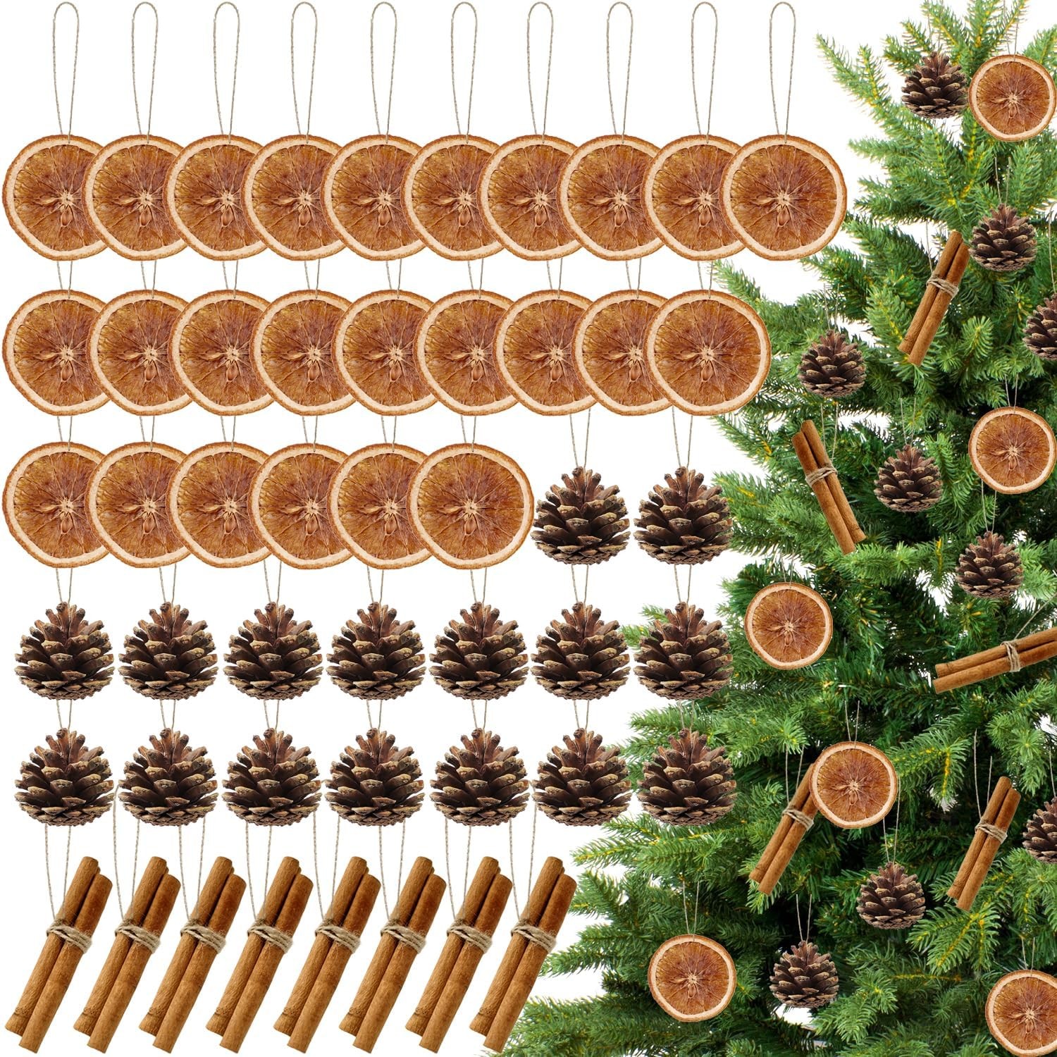 48 Pcs Christmas Tree Decorations Natural Pine Cones Rustic Ornaments Bulk Dried Orange Slices Cinnamon Sticks Framhouse Christmas Hanging Ornament for Christmas Tree DIY Home Wedding Decor