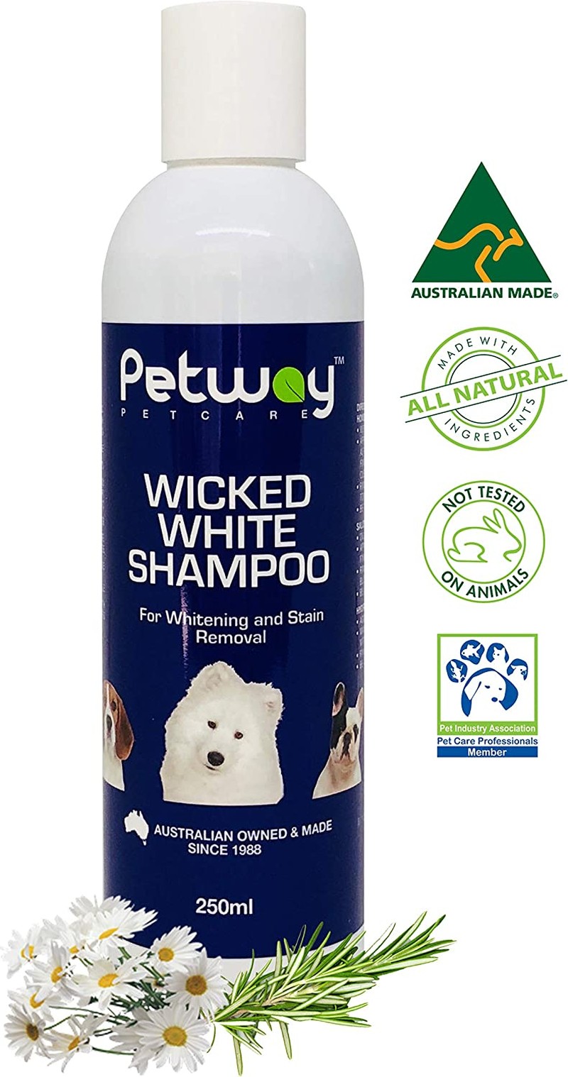 Petway Petcare Wicked White Whitening and Stain Removal Shampoo for Dogs with White Coat, Deep Cleanse to the Coat and Skin, Free of Phosphates and Parabens, Ph Balanced, Dog Shampoo Removes Stains, Dirt and Odor, 250Ml