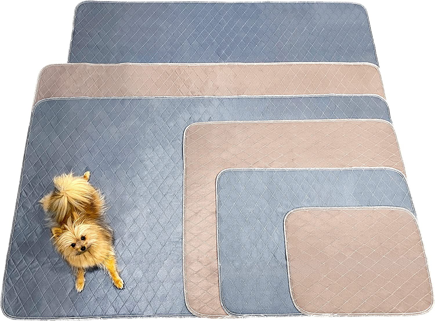 PIPCO PETS – Washable Pee Pad for Dogs, Pets | Absorbent, Leak-Proof Mat | Eco-Friendly, Reusable, Easy Care | Indoor Potty Pad, Puppy Training, Whelping, Incontinence (130 X 130 Cm, Light Mocha)