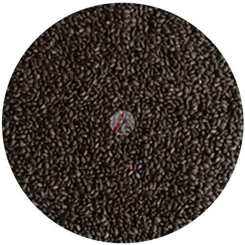 Basil Seeds – 1KG