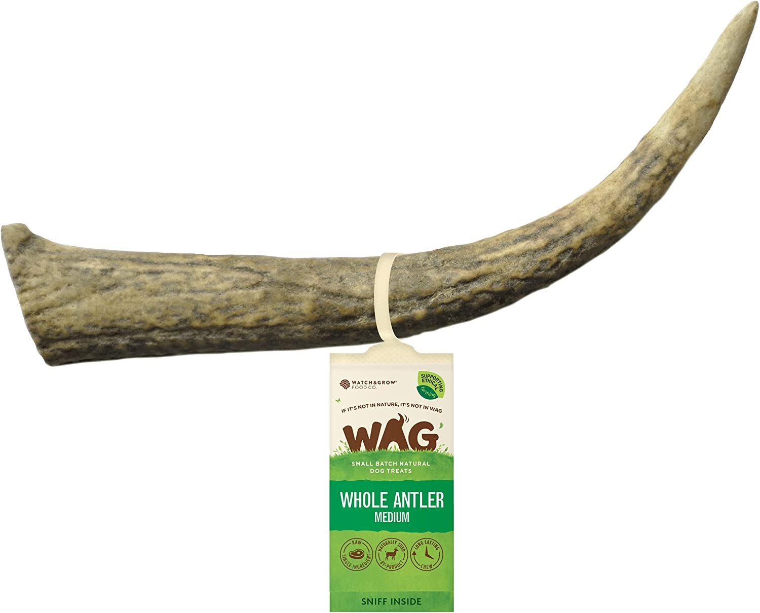 WAG Long Lasting Whole Antler Dog Treat, 4 Pack, Medium