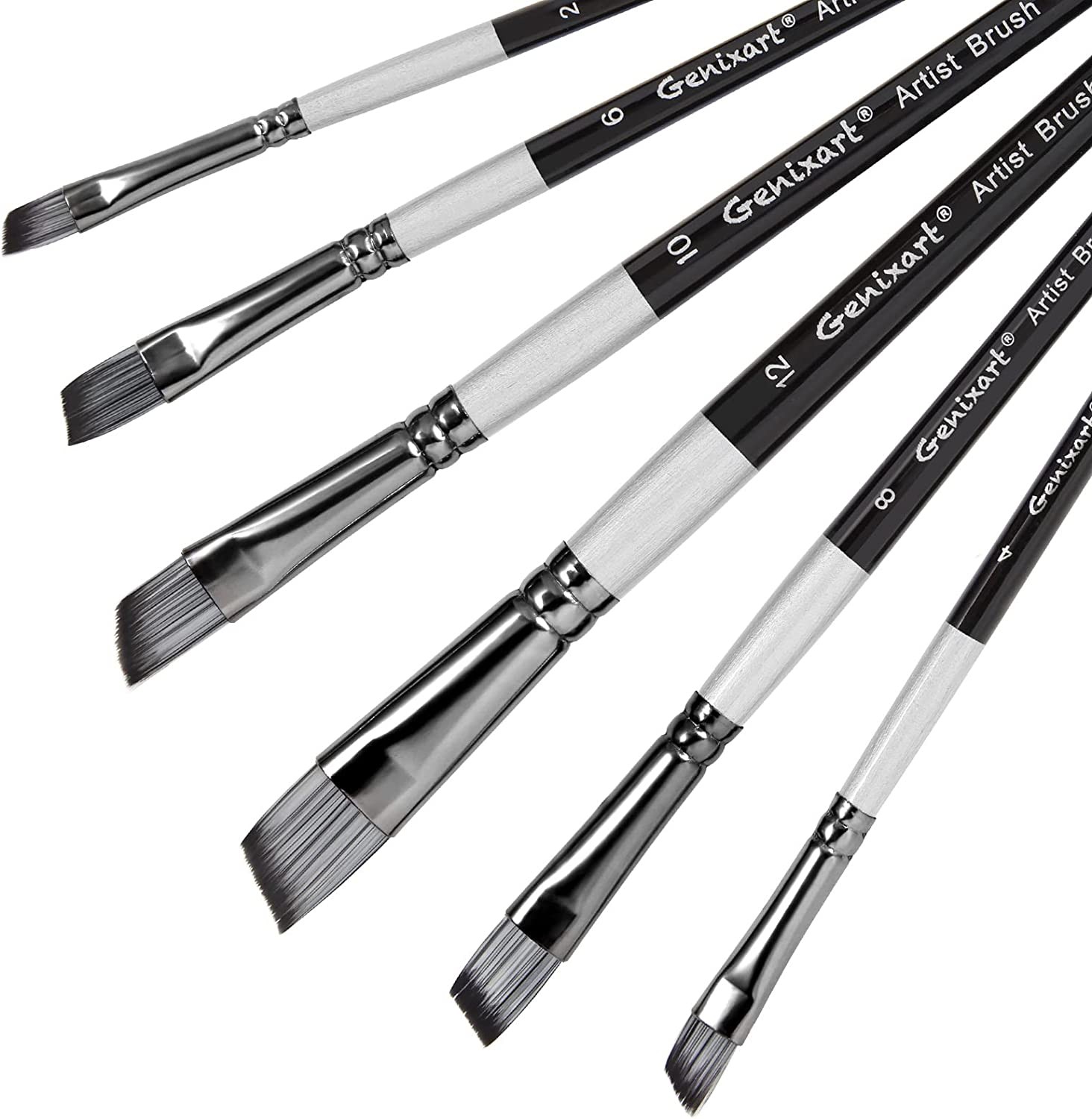 Angular Paint Brushes Set, 6 Pcs Angled Paintbrushes for Acrylic Oil Watercolor Gouache Painting, Premium Nylon Hair Angle Shader Brush for Art Beginners and Artist Professionals