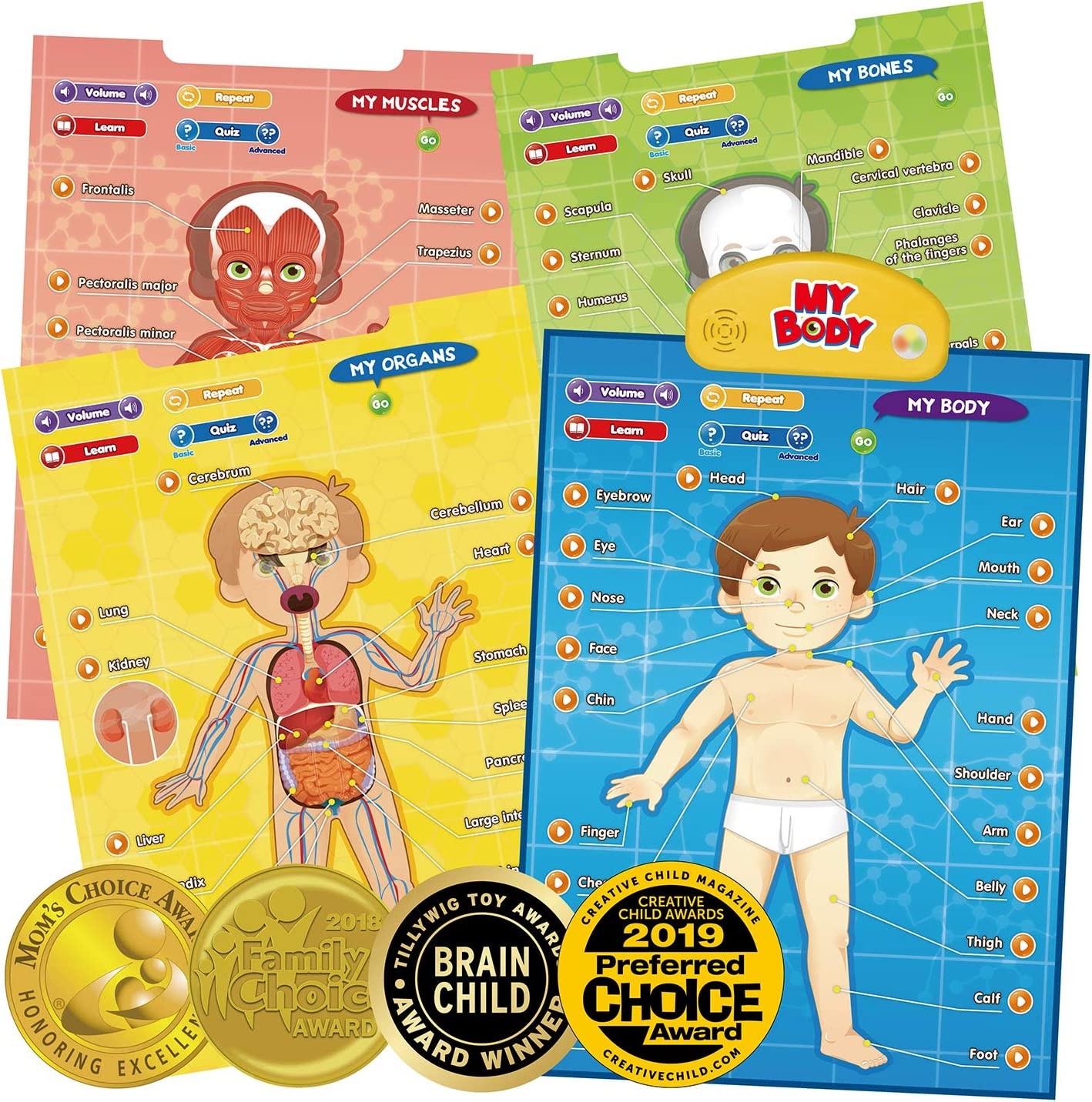 BEST LEARNING I-Poster My Body – Interactive Educational Human Anatomy Talking Game Toy System to Learn Body Parts, Organs, Muscles and Bones for Kids Aged 5 to 12