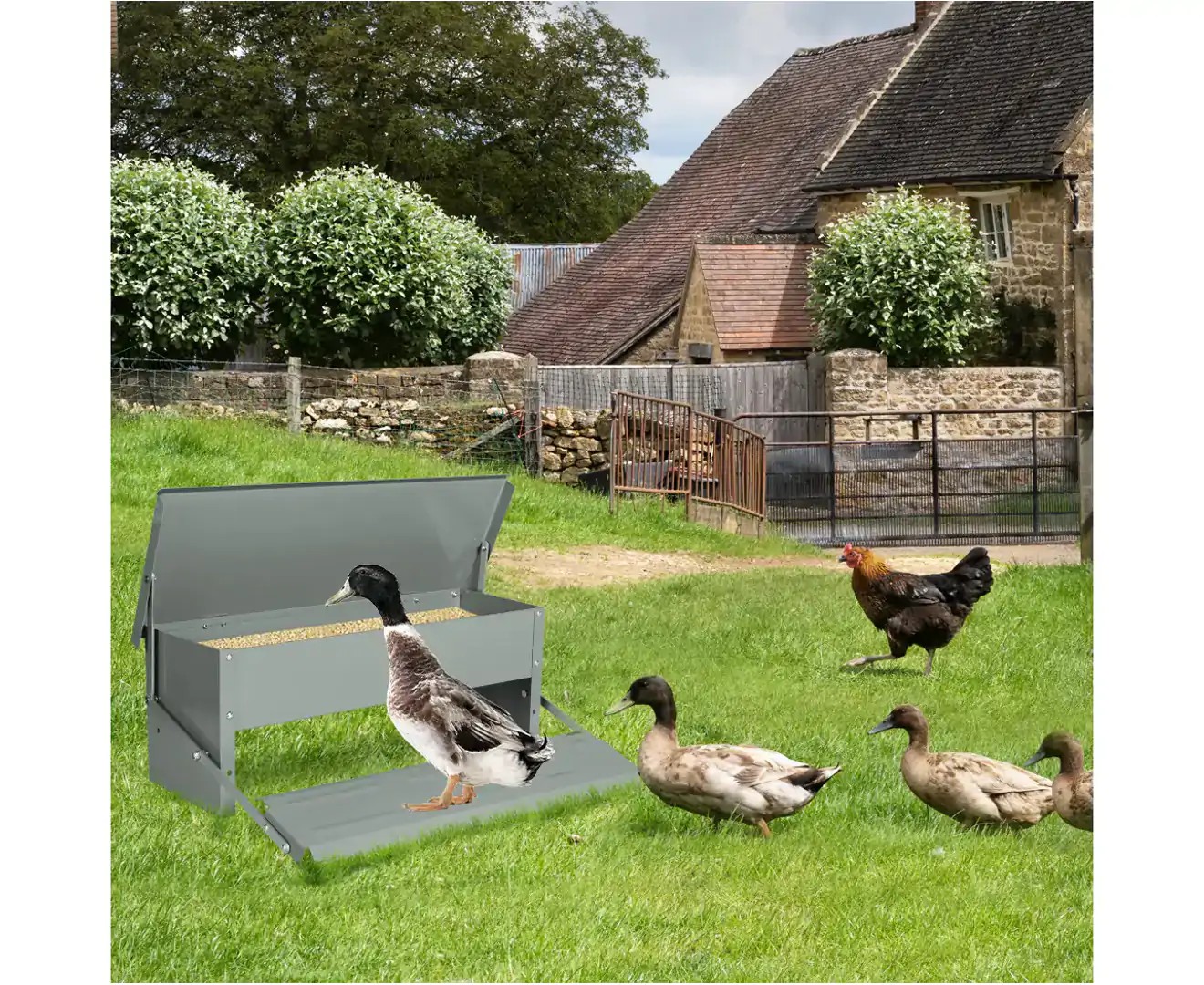 Pawz 5KG Auto Automatic Chicken Feeder Galvanized Poultry Chook Treadle