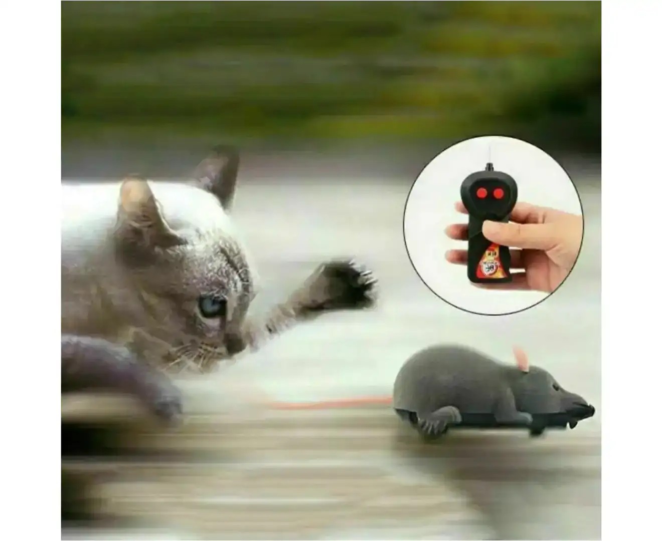 Friter Pet Cat Puppy Toy Wireless Remote Control Electronic Rat Mouse Mice Toys