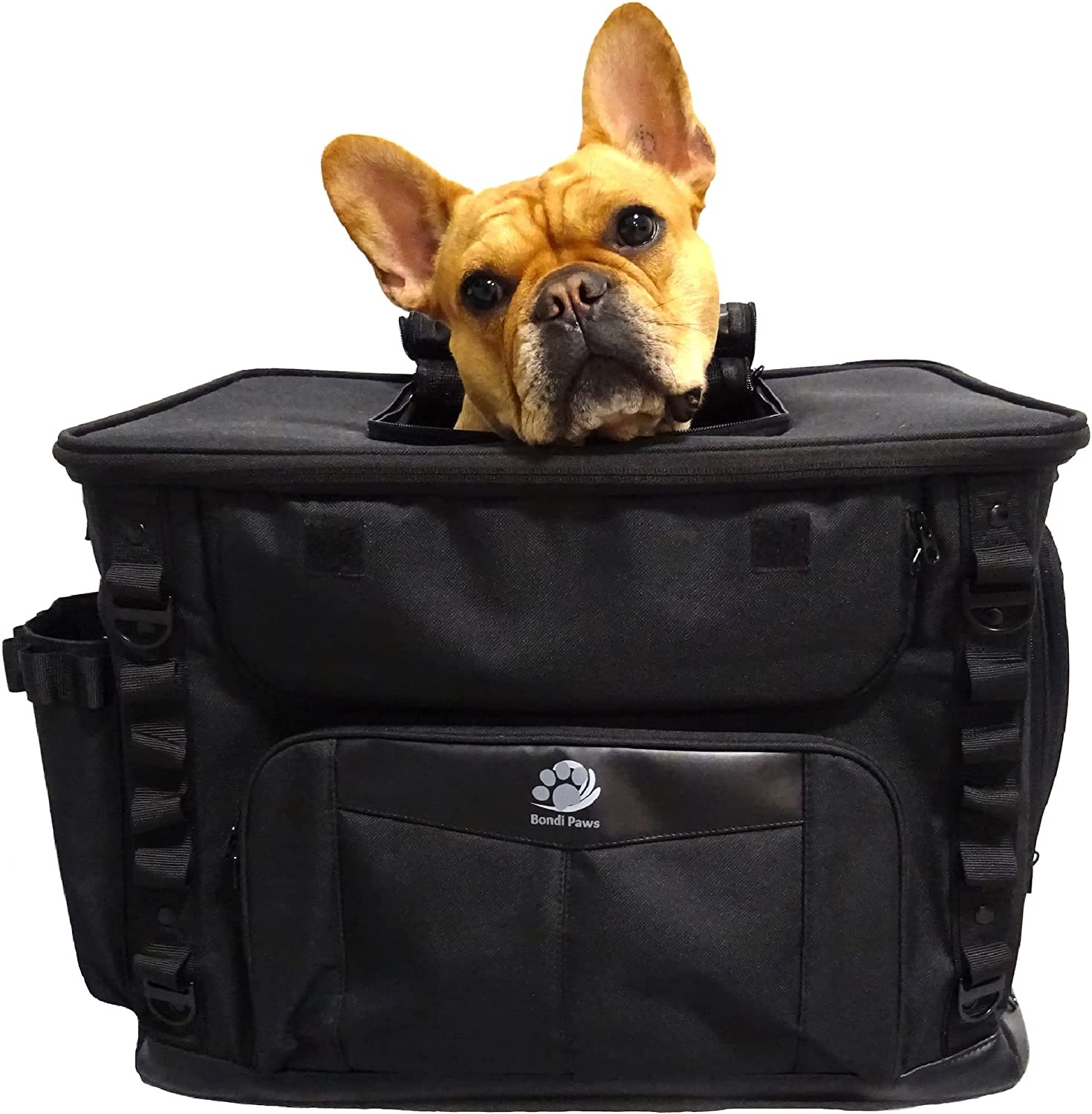 Dog Motorcycle Carrier by Bondi Paws™: Portable Weather Resistant Pet Motorbike or Scooter Travel Bag Crate for Luggage Rack or Passenger Seat with Sissy Bar Straps